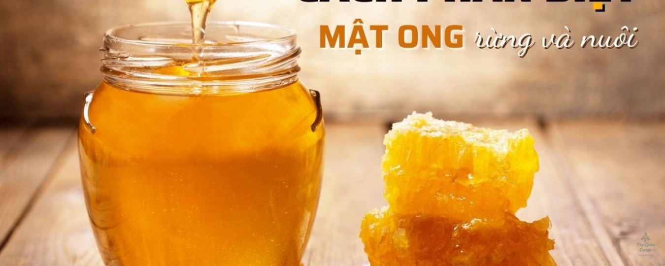 Bật mí cách phân biệt mật ong rừng và mật ong thiên nhiên