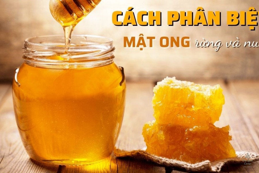 Bật mí cách phân biệt mật ong rừng và mật ong thiên nhiên